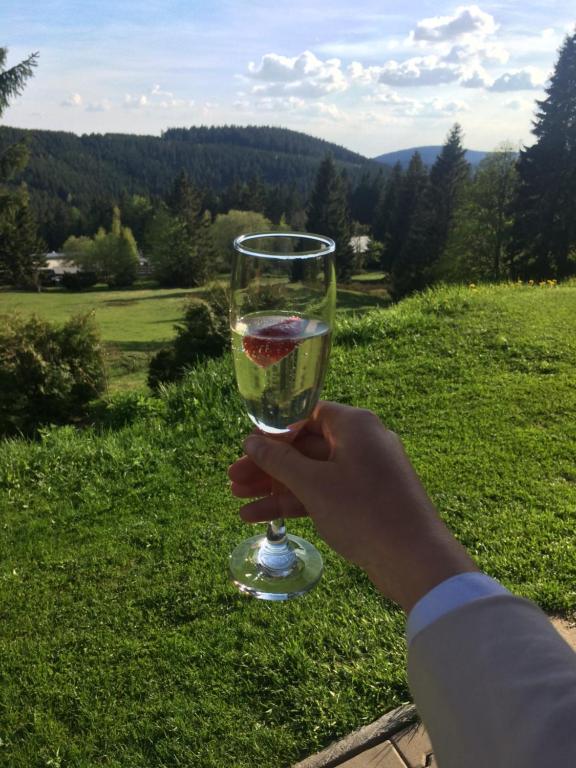 Przyroda w pobliżu tego pensjonatu