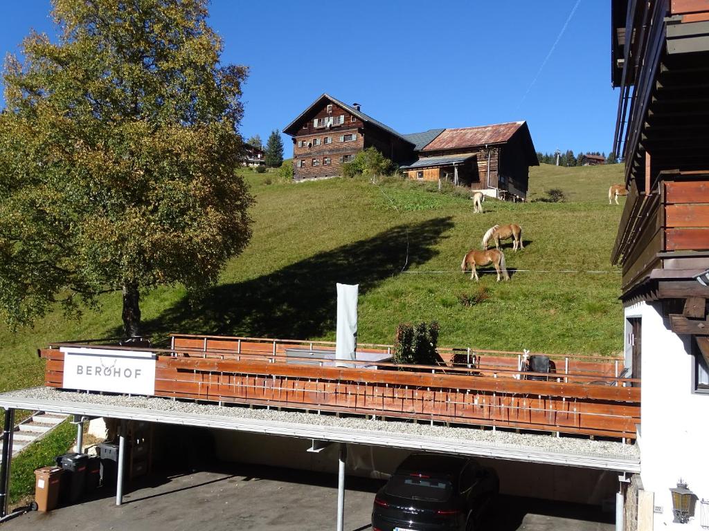 Příroda nedaleko aparthotelu