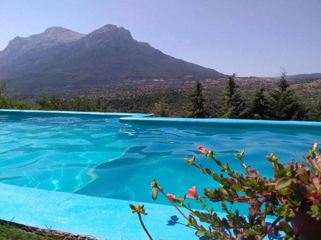 奧列納的住宿－Villa L'Oleandro，享有游泳池的景色,背景为山脉