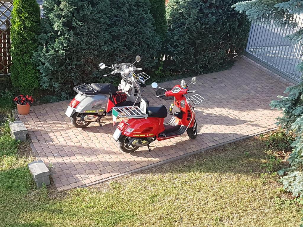 Vonkajšia záhrada v ubytovaní BE WELL 3-Rooms Apartment with Parking and Garden