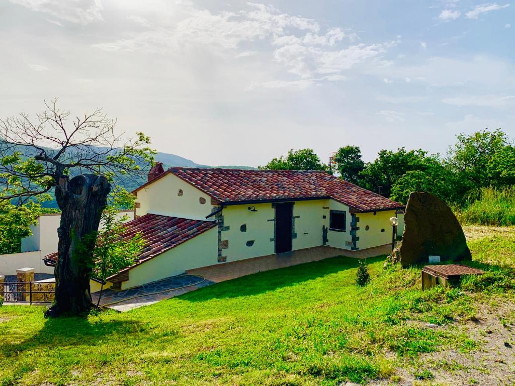 a house in a field with a tree at La Casa di Elia in Arcidosso
