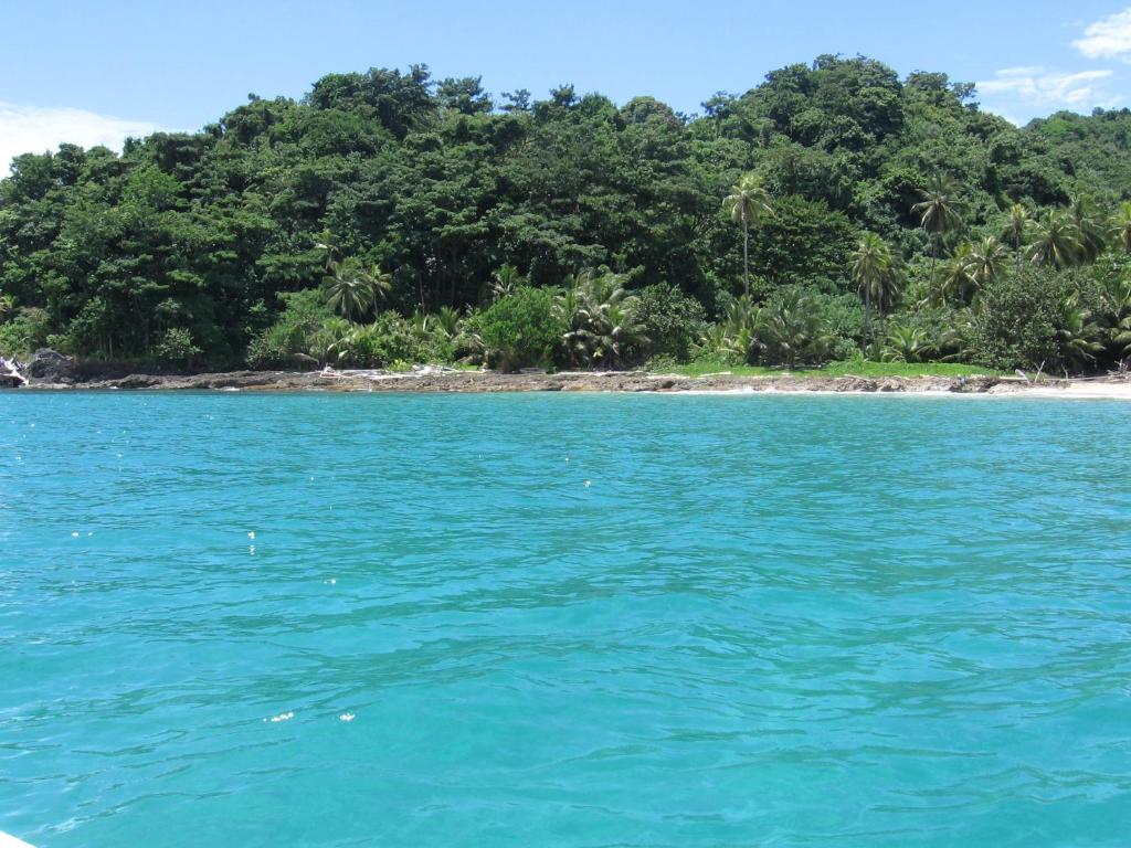 a view of a beach with blue water and trees at Dive and Green Capurgana in Capurganá