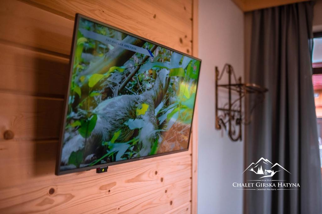 TV a/nebo společenská místnost v ubytování Apartments Chalet Girska Hatyna