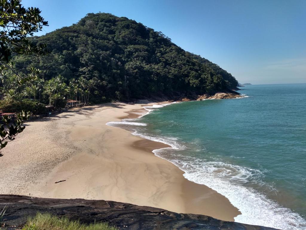 an empty beach with trees and the ocean at Hostel 7 praias in Ubatuba