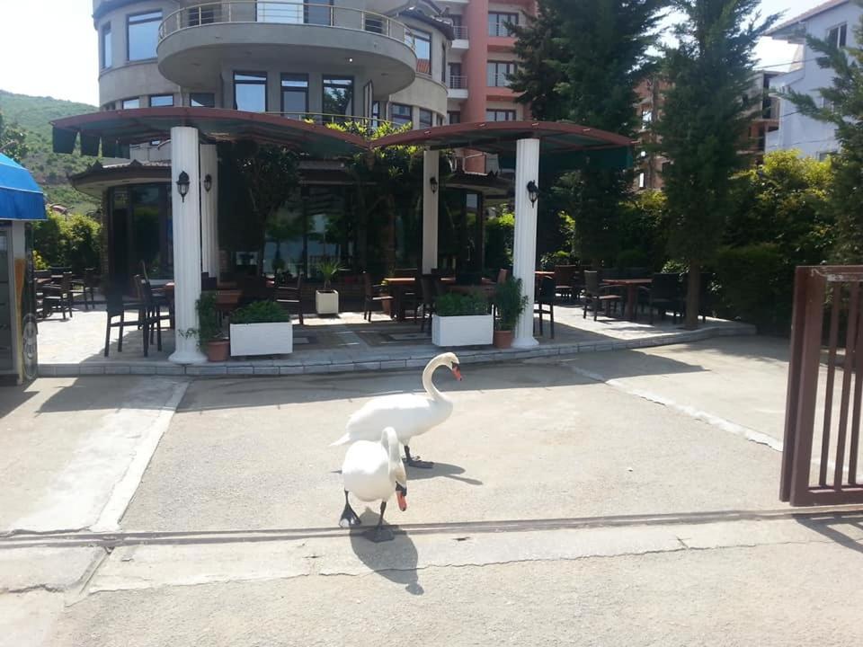Fotografie z fotogalerie ubytování Hotel Saint Marena v destinaci Pogradec