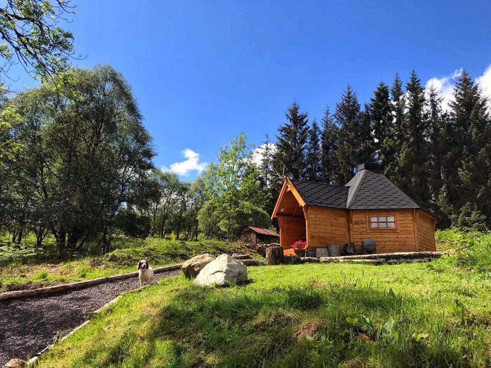 a log cabin in the middle of a field at The Nest Glamping Pod in Dalmally
