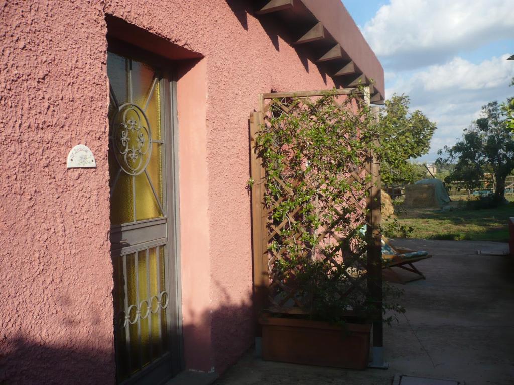 Jardí fora de Il Baffetto B&B