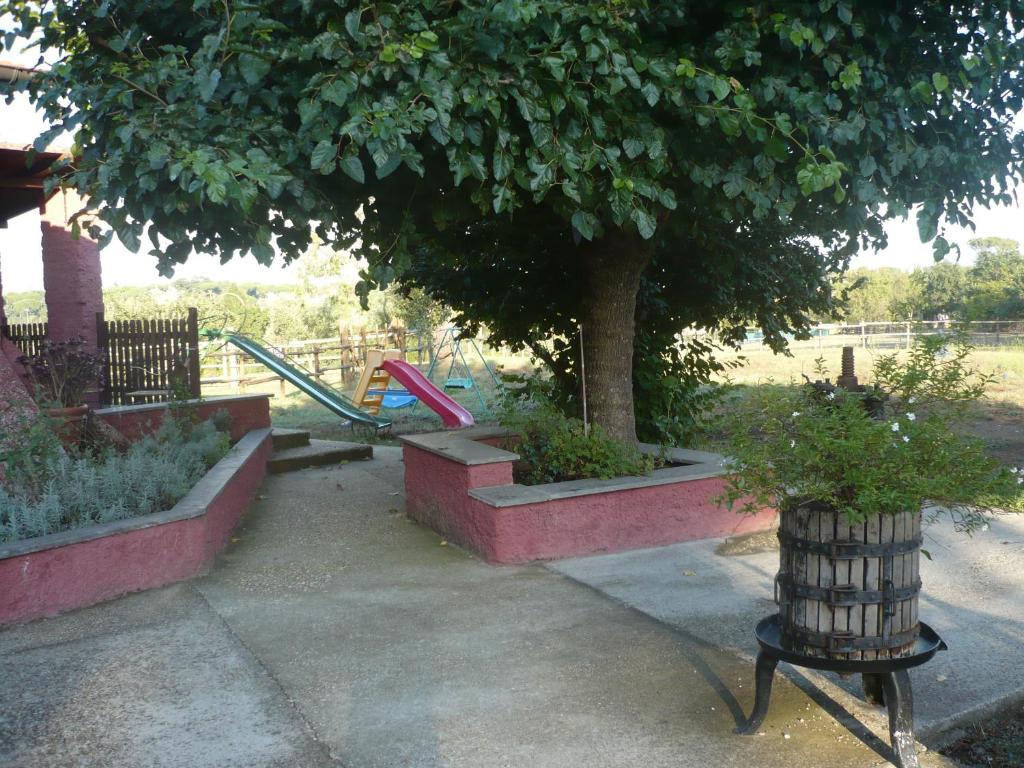 Jardí fora de Il Baffetto B&B