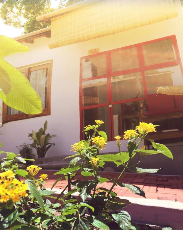 Vườn quanh LANGCHIA HOME