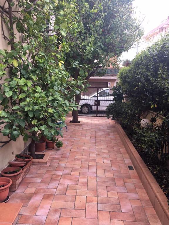 A garden outside Casetta