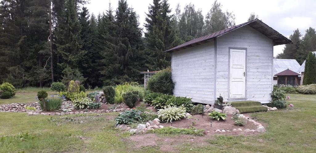 a garden with a small shed in a yard at Metsjärve kämpingumajake in Puskaru