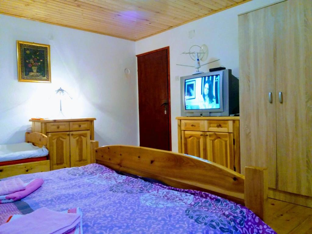 TV a/nebo společenská místnost v ubytování Apartments And Rooms Gold