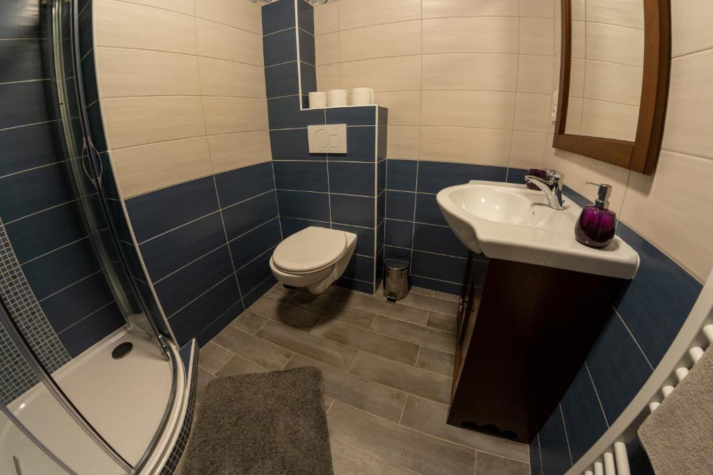 Koupelna v ubytování Villa Jana