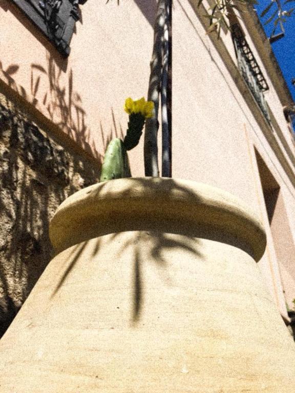 Fotografie z fotogalerie ubytování Is Scabas Guestrooms v destinaci Solarussa