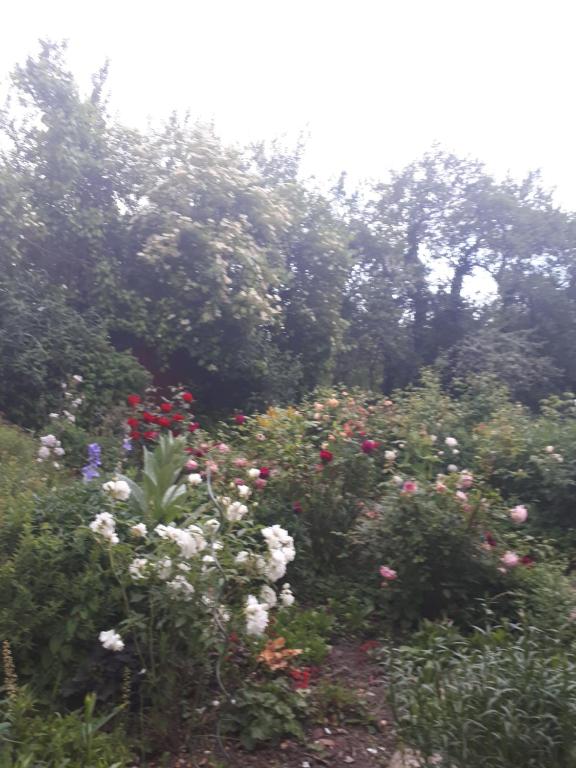 Zahrada ubytování LE VIEUX NAYEU