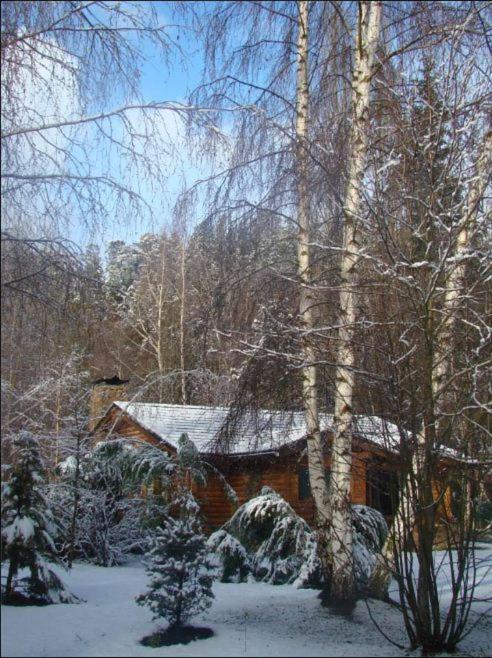 Cabañas En el Corazón del Bosque v zimě