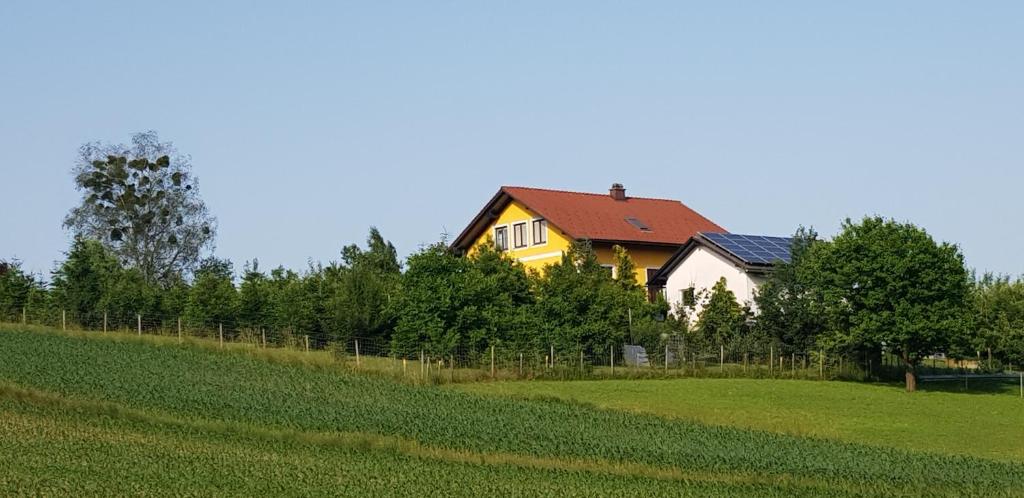 a yellow house in a field next to a fence at Ferienwohnung Lückl in Mettersdorf am Saßbach