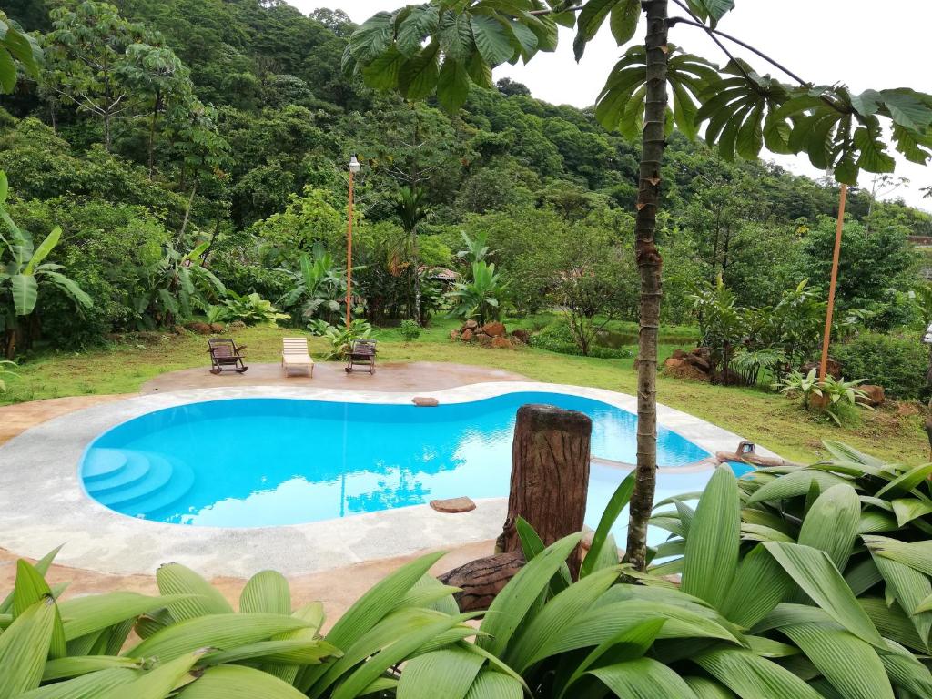 a swimming pool in the middle of a garden at Hotel Catarata Río Celeste in Bijagua