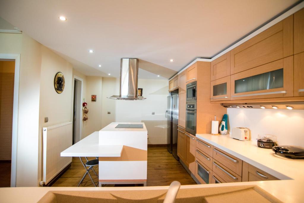 A kitchen or kitchenette at Villa Olympia VIP