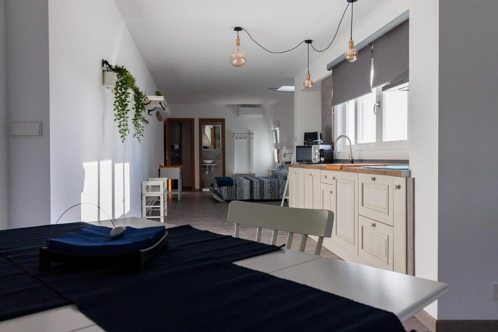 Kuchyňa alebo kuchynka v ubytovaní Loft Sopranis Grupo AC Gestion