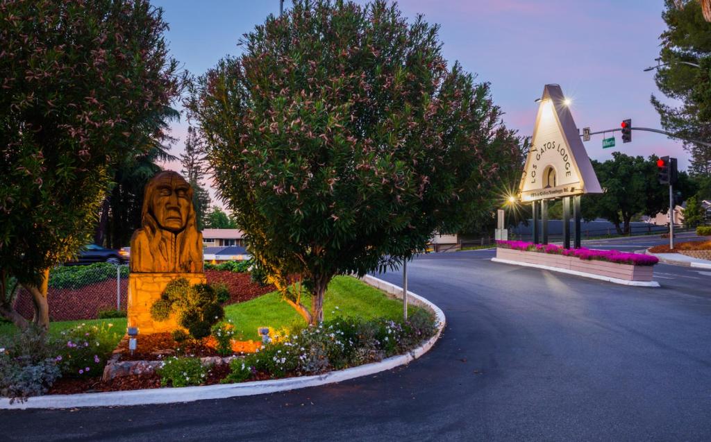 Los Gatos – Photos 5