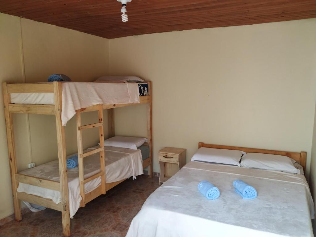 een slaapkamer met 2 stapelbedden in een kamer bij Iguazu Rey Hostal in Puerto Iguazú