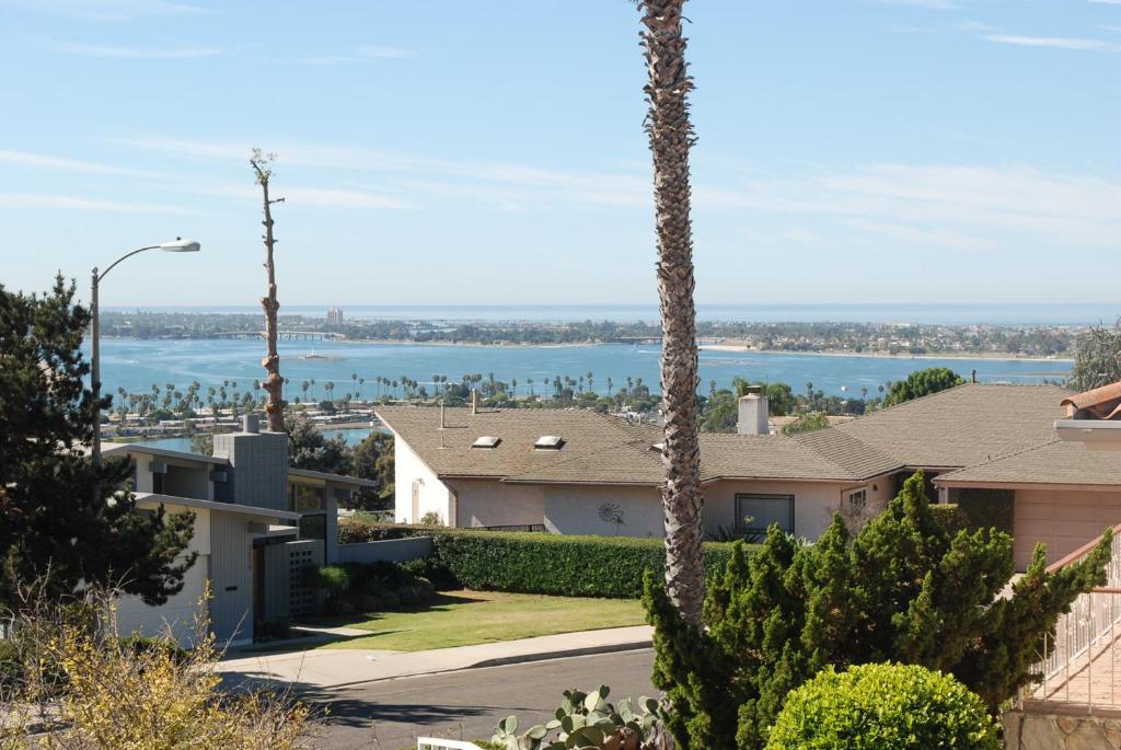 eine Palme im Hof mit Blick auf das Wasser in der Unterkunft 3 Bedrooms Guest House, Pacific Beach, Sea World, Downtown,& 3 bus lines-3 in San Diego