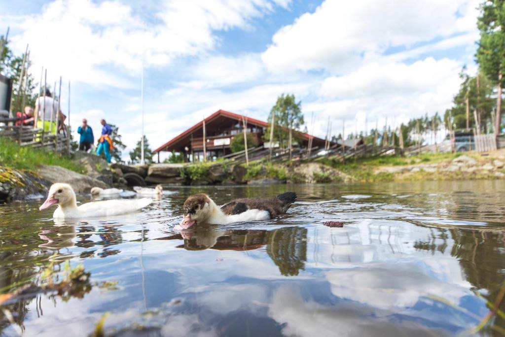 Příroda nedaleko hostelu