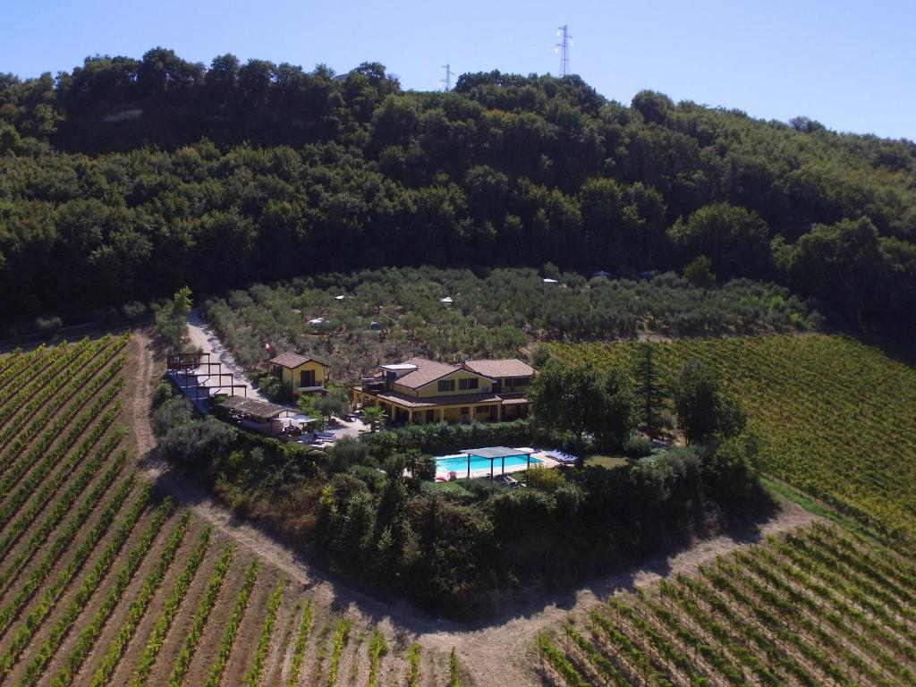 an aerial view of a house in a vineyard at La Dolce Vallata in Montefiore dellʼAso