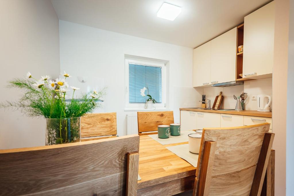Kuchyň nebo kuchyňský kout v ubytování Apartma Arnež