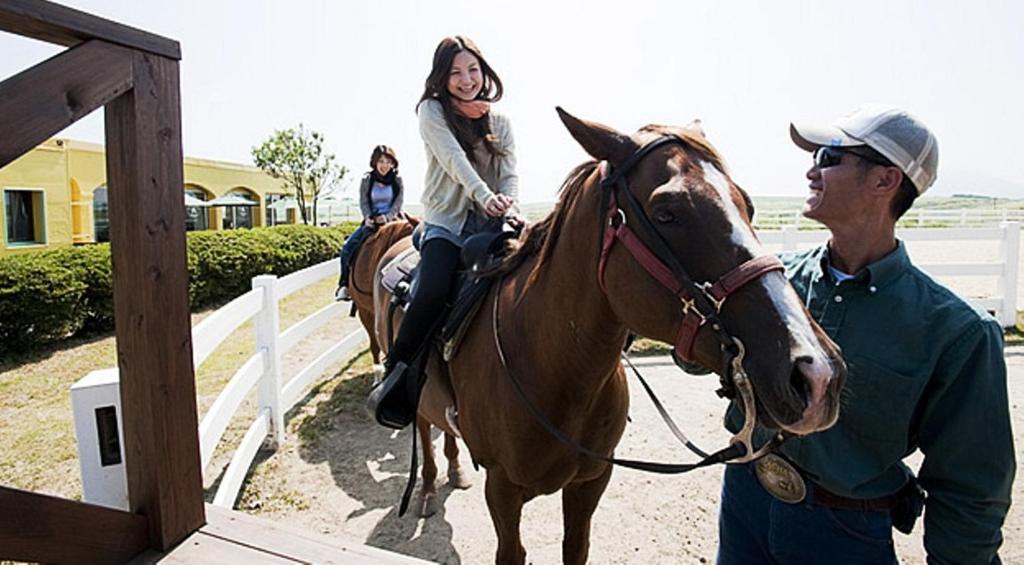 Montar a caballo en the country house o alrededores