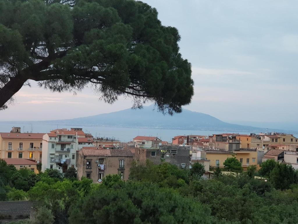 a city with buildings and a tree in the foreground at BLU SEA SORRENTO in Sorrento