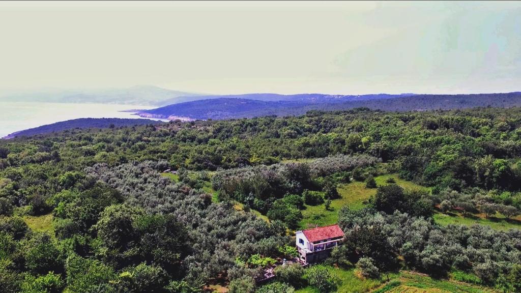 una vista aérea de una casa en una colina con árboles en Ecohouse Oliveglia en Šilo