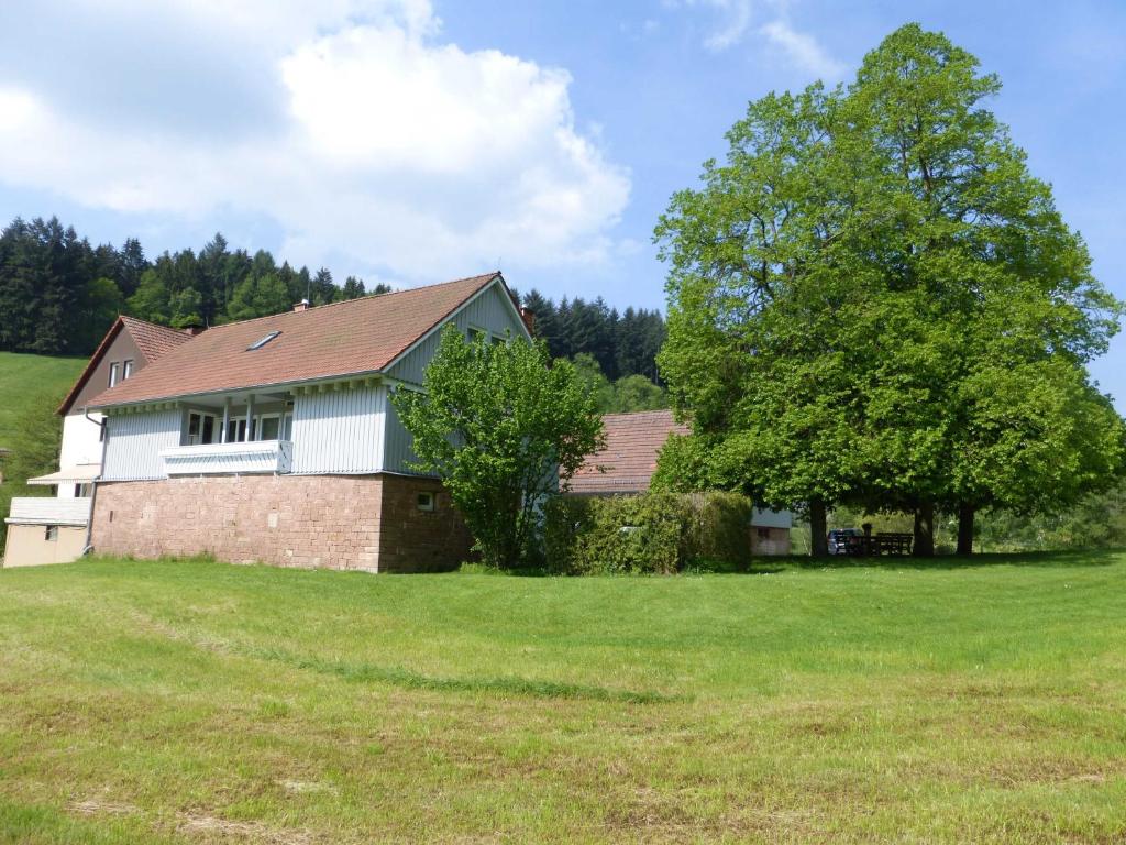 una casa en un campo con un árbol en Ferienhaus Zur Muehle, en Mossautal