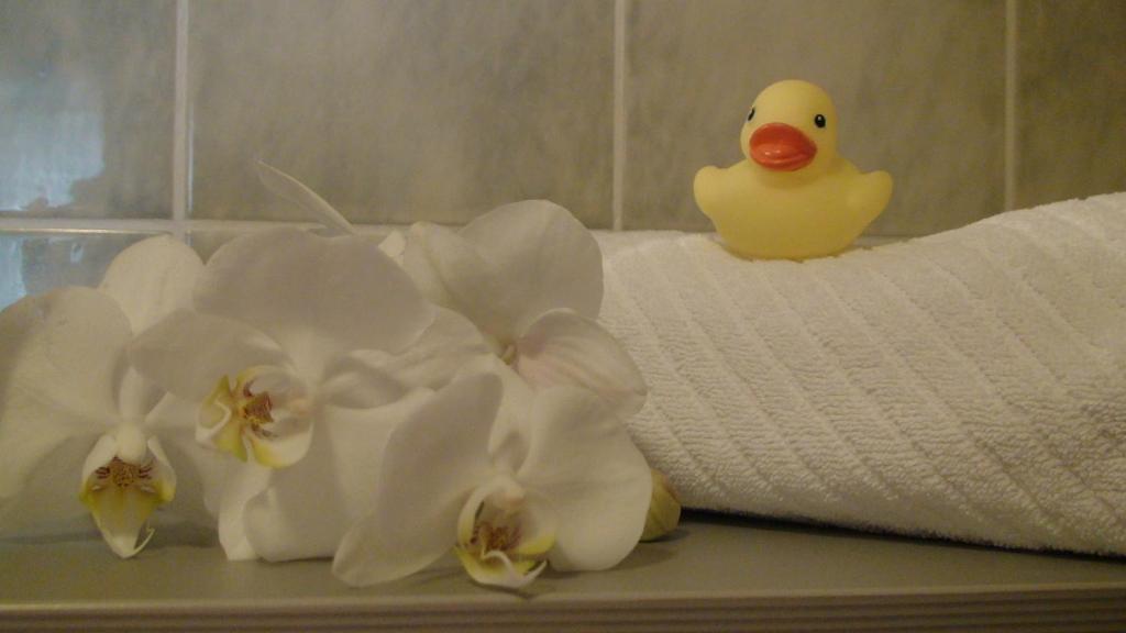 Hotel Cascade Superior - Resim 21