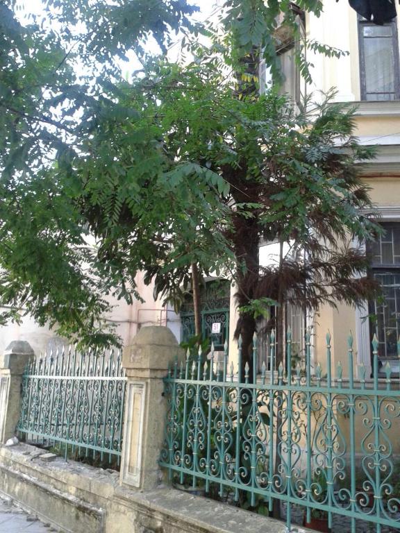 ein grüner Zaun mit einem Baum vor einem Haus in der Unterkunft Marine Residence in Batumi