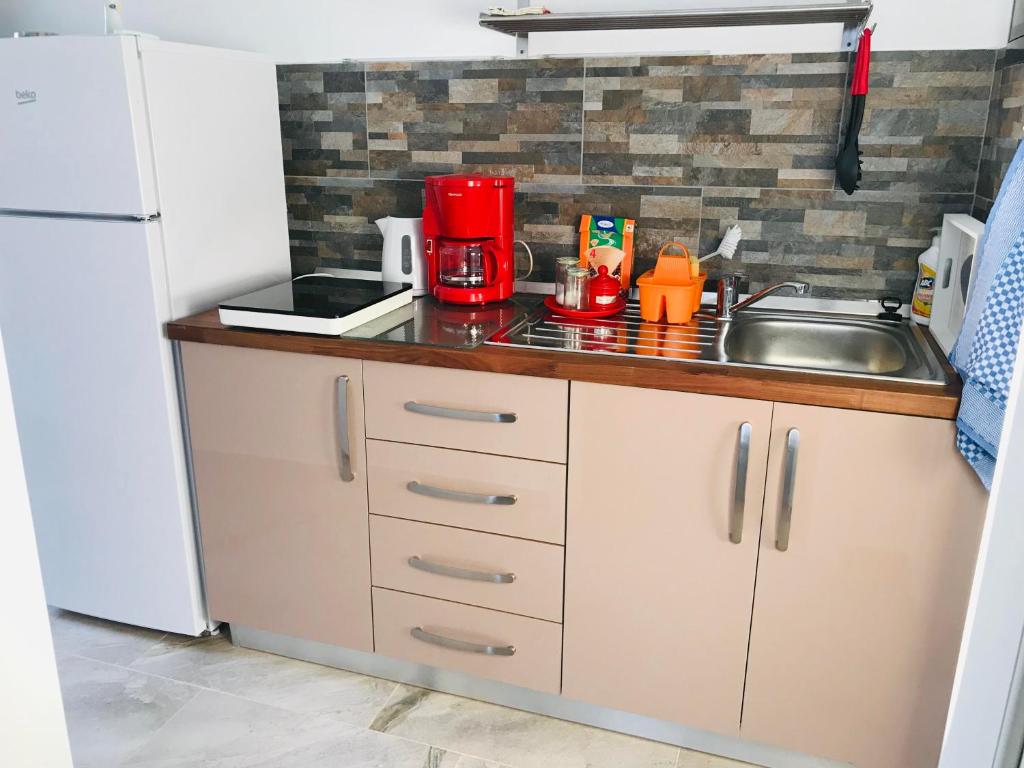 Kuchyň nebo kuchyňský kout v ubytování Vila Milo