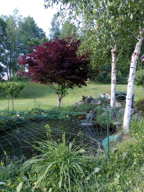 O grădină în afara Chalet del Laghetto
