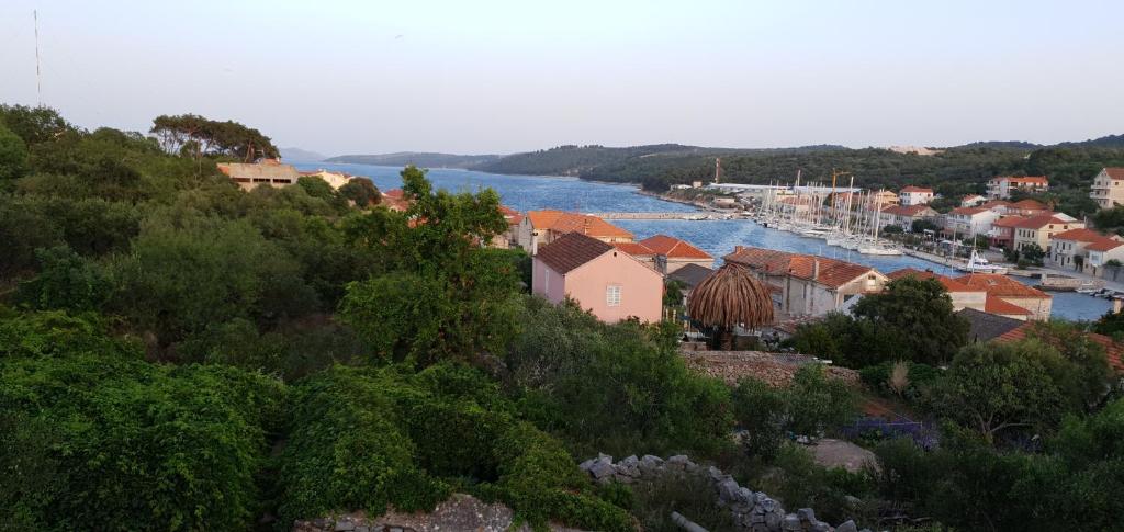 Příroda nedaleko apartmánu