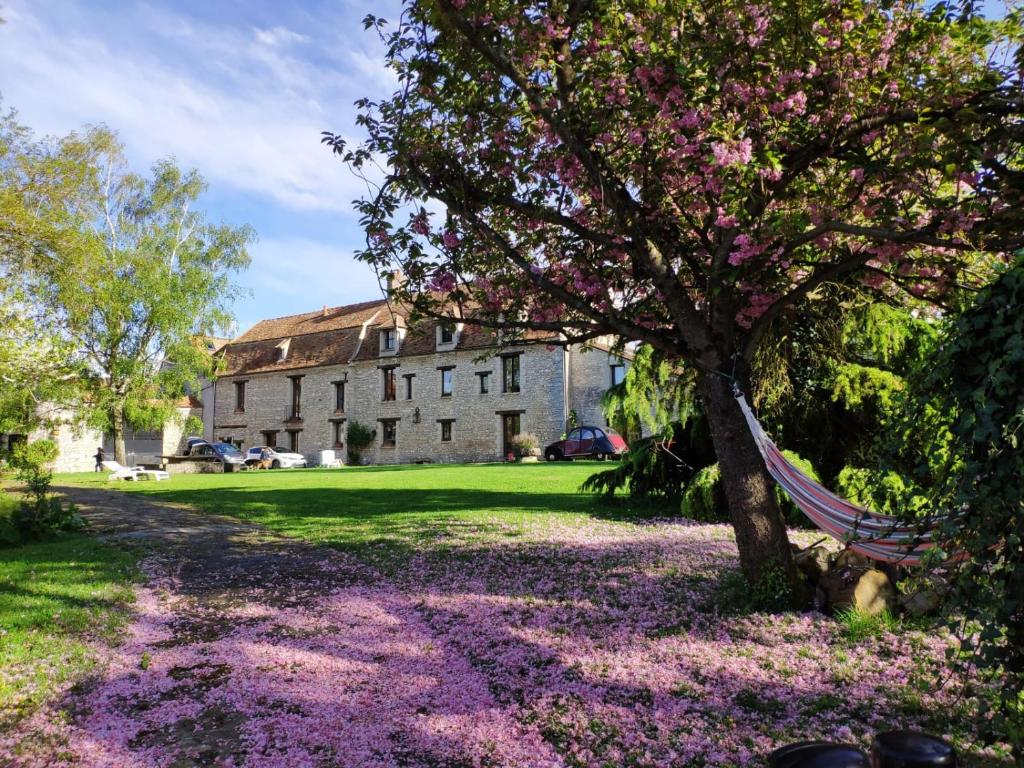 un árbol con flores púrpuras delante de un edificio en La Fauconnerie Du Roy en Montainville