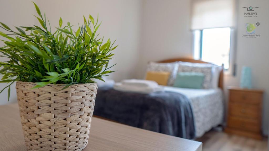 um vaso com uma planta sobre uma mesa numa sala de estar em Apartamento Central PVZ na Póvoa do Varzim