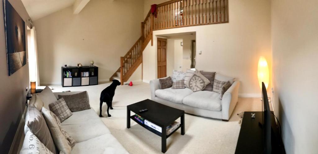 un cane in piedi in un soggiorno con divano di Westwood Barn Holiday Let a Brough Sowerby
