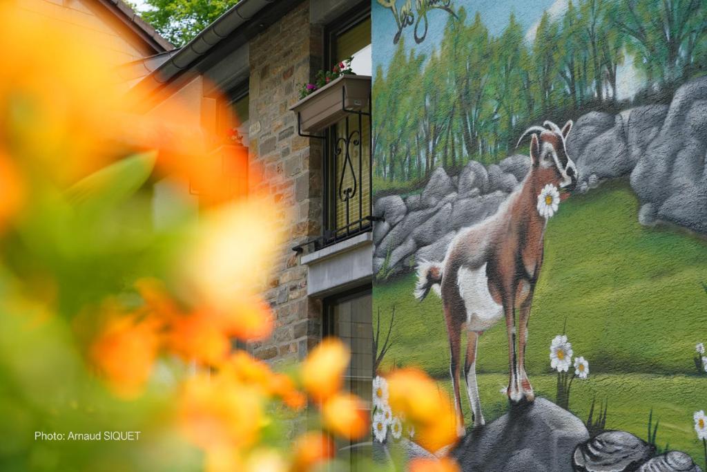 Zvířata v prázdninového domu nebo okolí