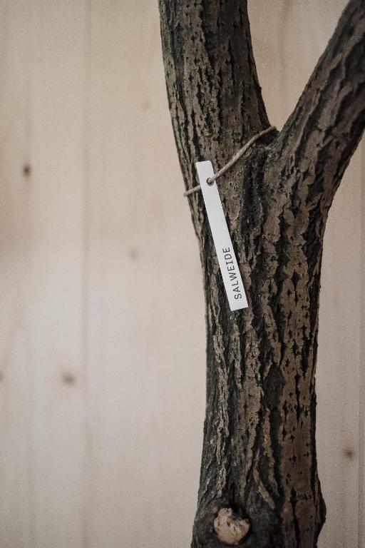 Raphael Hotel Wälderhaus - Resim 13