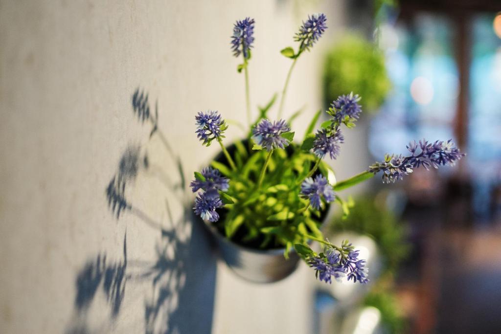 Raphael Hotel Wälderhaus - Resim 6