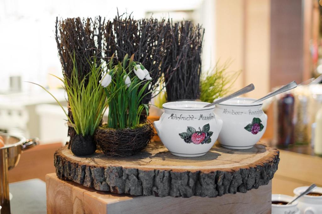 Raphael Hotel Wälderhaus - Resim 29