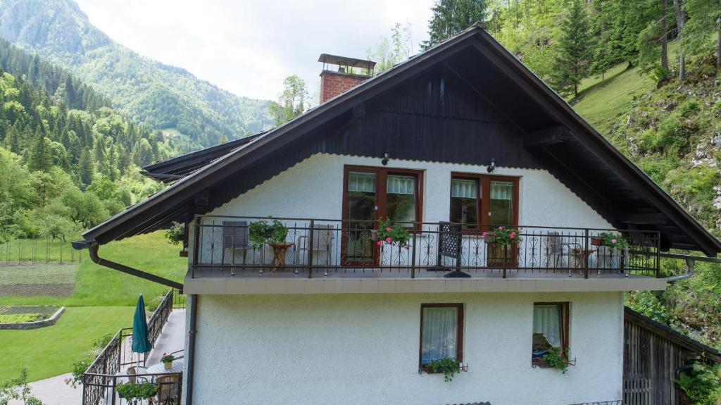 Turistična kmetija Čerček - Double Room With Balcony And Mountain View