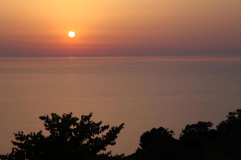 einen Sonnenuntergang über dem Meer mit einem Baum im Vordergrund in der Unterkunft Georgia Villas in Drymon