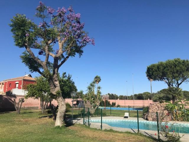 The swimming pool at or close to Casa independiente con piscina y pista deportiva privadas
