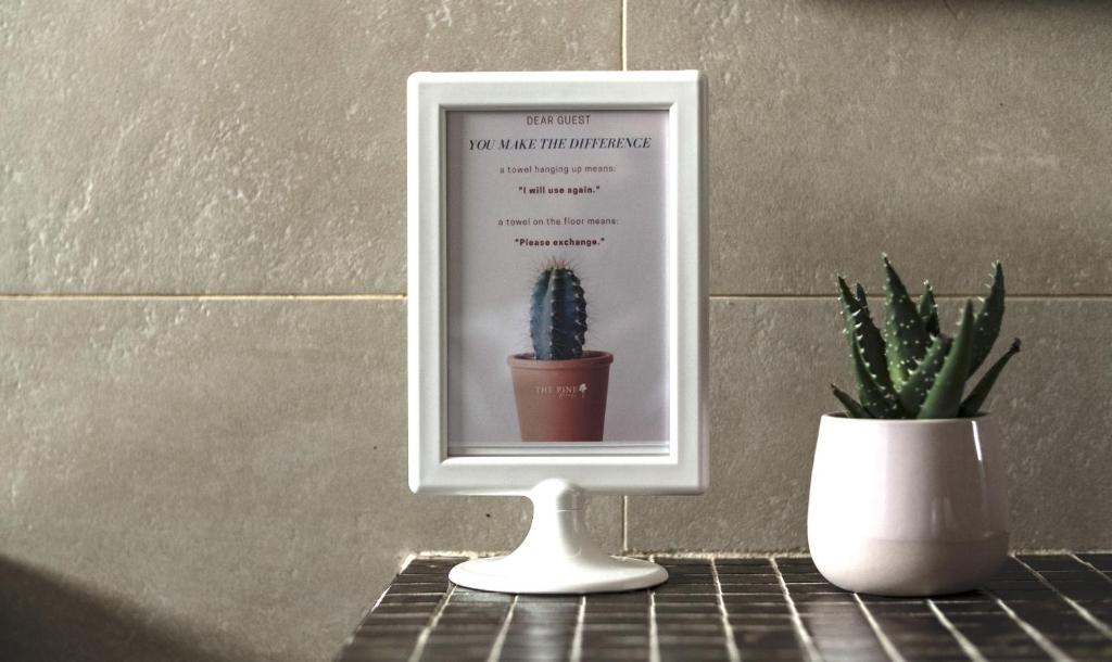 a picture of a cactus in a frame next to a plant at Pine House - Faro Airport, Beach and City Center in Faro